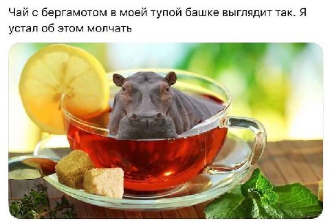 Чай с бергамотом в моей тупой башке выглядит так. Я устал об этом молчать 11 4