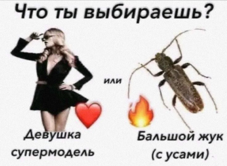 Что ты выбираешь? Девушка Бальшой жук супермодель (с усами)