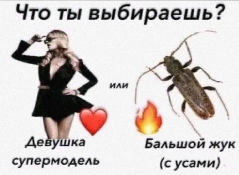 Что ты выбираешь? Девушка Бальшой жук супермодель (с усами)