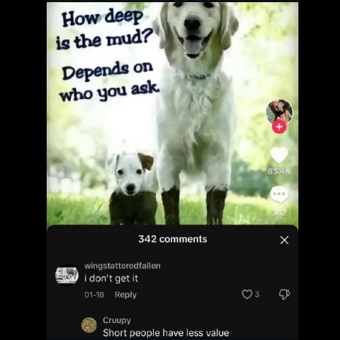 Ном деер the Depends on who you as 342 comments wingstatteredfallen i don't get it 01-18 Reply о Cruupy Short people have less value
