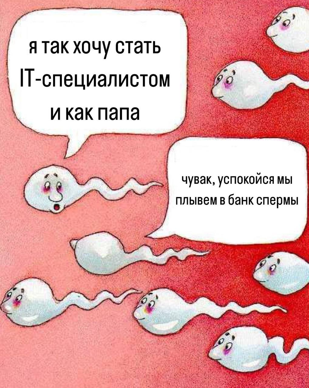я так хочу стать П-специалистом папа чувак, успокойся мы плывем в банк спермы