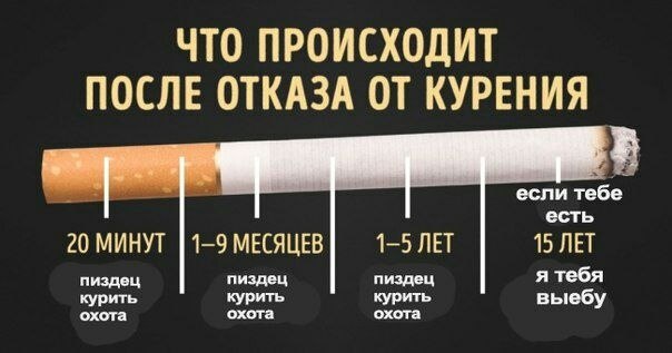 ЧТО ПРОИСХОДИТ ПОСЛЕ ОТКАЗА ОТ КУРЕНИЯ если тебе есть 20 МИНУТ 1-9 МЕСЯЦЕВ 1-5 ЛЕТ 15 ЛЕТ пиздец пиздец пиздец я тебя охота курить охота курить охота курить выебу