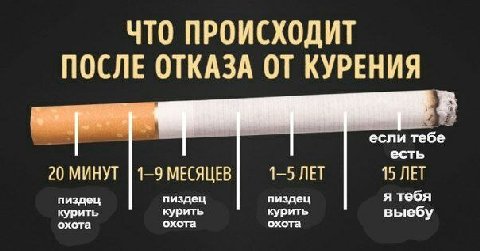 ЧТО ПРОИСХОДИТ ПОСЛЕ ОТКАЗА ОТ КУРЕНИЯ если тебе есть 20 МИНУТ 1-9 МЕСЯЦЕВ 1-5 ЛЕТ 15 ЛЕТ пиздец пиздец пиздец я тебя охота курить охота курить охота курить выебу