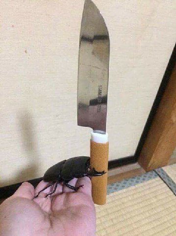 wee