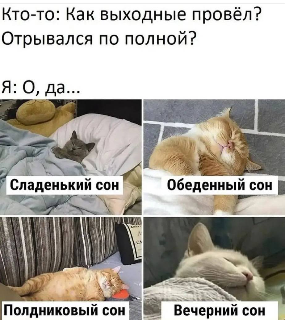 Кто-то: Как выходные провёл? Отрывался по полной? Я: О, да Сладенький сон Обеденный сон Полдниковый сон Вечерний сон