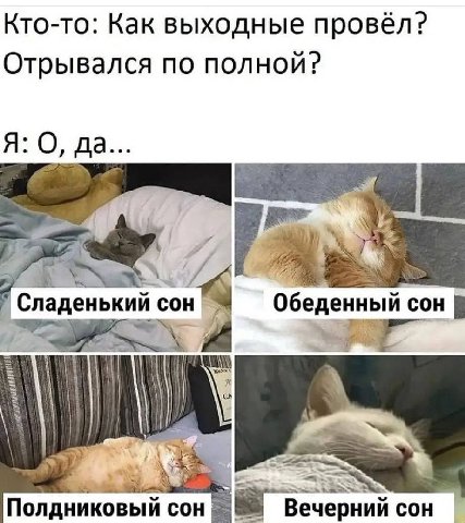 Кто-то: Как выходные провёл? Отрывался по полной? Я: О, да Сладенький сон Обеденный сон Полдниковый сон Вечерний сон