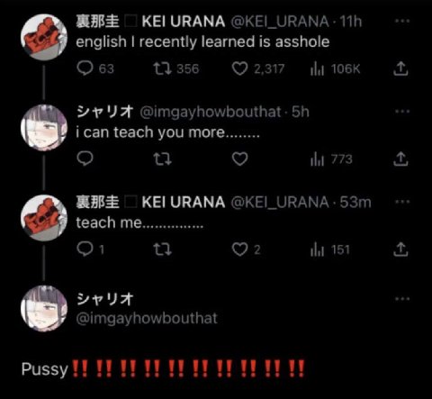 ОКЕ! ОВАМА. english recently learned is asshole С 63 356 2,317 Ни @imgayhowbouthat: ican teach you more 773 KEI URANA ОВАМА. teach 5 151 @imgayhowbouthat Pussy