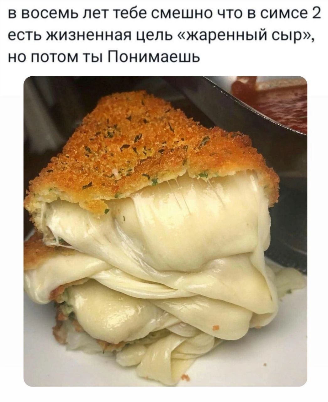 в восемь лет тебе смешно что в симсе 2 есть жизненная цель «жаренный сыр», но потом ты Понимаешь