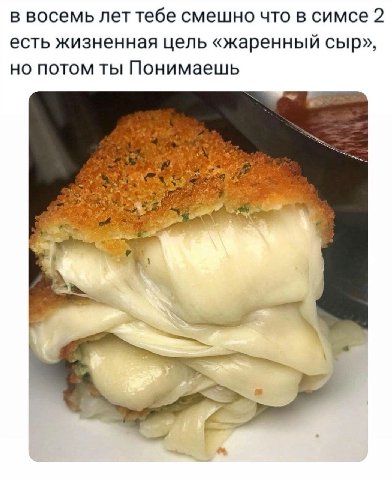 в восемь лет тебе смешно что в симсе 2 есть жизненная цель «жаренный сыр», но потом ты Понимаешь