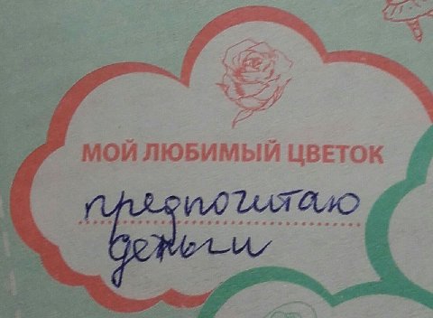 ЕЕ МОЙ ЛЮБИМЫЙ ЦВЕТОК