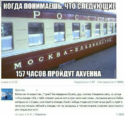 КОГДА иво А В В вчера в 23:25 Поделиться 77 Мне нравится 3992 Ярослав 3 Блять как то ездил так 7 дней без перерыва бухать, душ сломан, Кандюков нету, на улице i +40 в поезде +50, с тебя стекает уже не