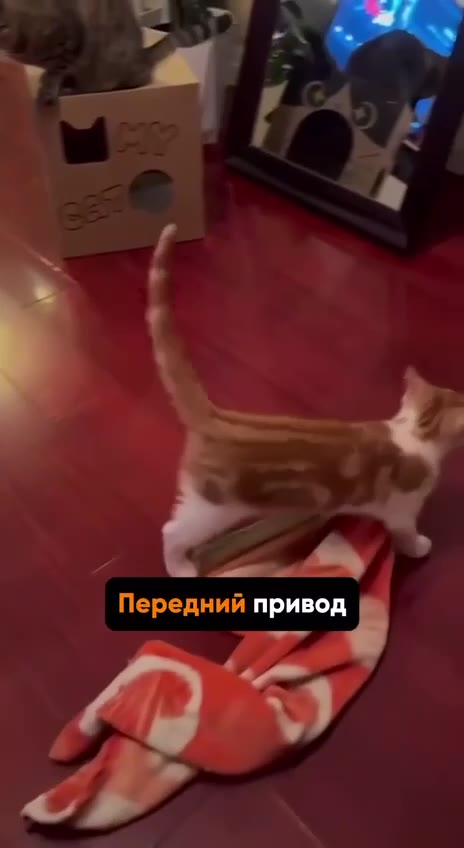 "Передний привея J ний привод Bees