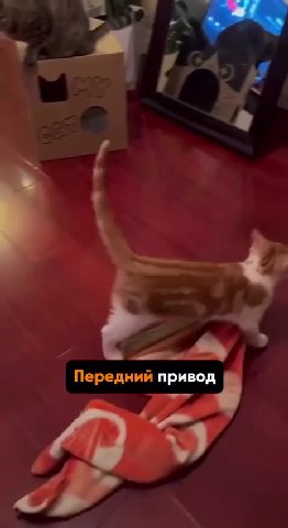 "Передний привея J ний привод Bees