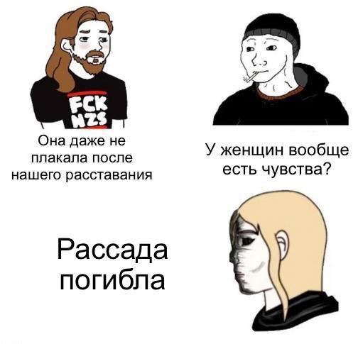 Она даже не плакала после У женщин вообще нашего расставания есть чувства? Рассада погибла