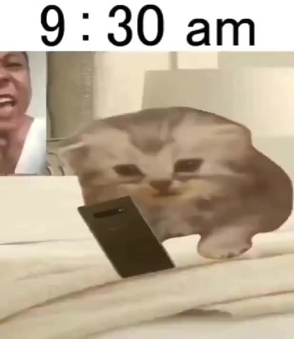 мем