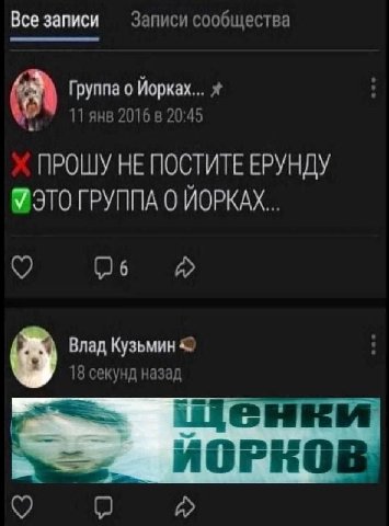 Все записи Записи сообщества Группа о Йорках... 11 янв 2016 в 20:45 ПРОШУ HE ПОСТИТЕ ЕРУНДУ ЭТО ГРУППА 0 ЙОРКАХ... Влад Кузьмин 18 секунд назад (2 a