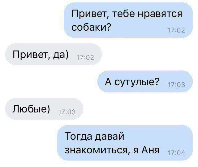 Привет, тебе нравятся собаки? 17:02 Привет, да) 17.0? А сутулые? 17:03 Любые) 47-02 Тогда давай знакомиться, я АНЯ