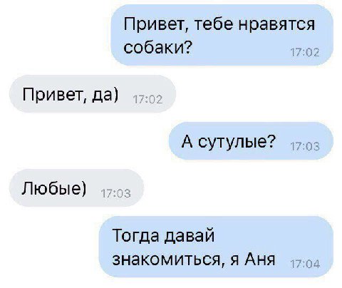 Привет, тебе нравятся собаки? 17:02 Привет, да) 17.0? А сутулые? 17:03 Любые) 47-02 Тогда давай знакомиться, я АНЯ