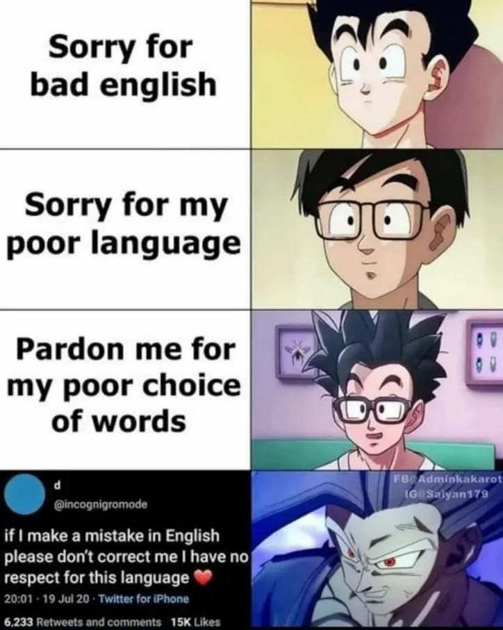 Sorry for bad english 7 Sorry for my poor language Pardon for my poor choice of words if make a mistake in English please don't correct me have по respect for this language к