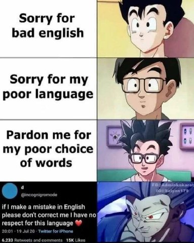 Sorry for bad english 7 Sorry for my poor language Pardon for my poor choice of words if make a mistake in English please don't correct me have по respect for this language к