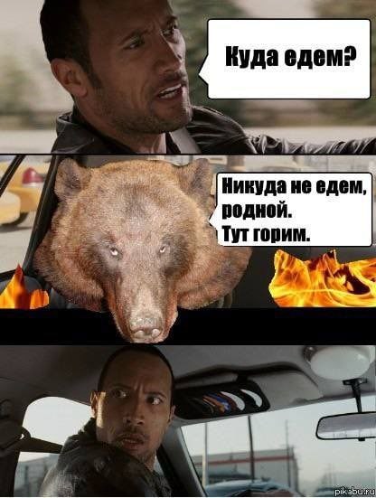 Куда едемр Никуда не едем, родной. Тут