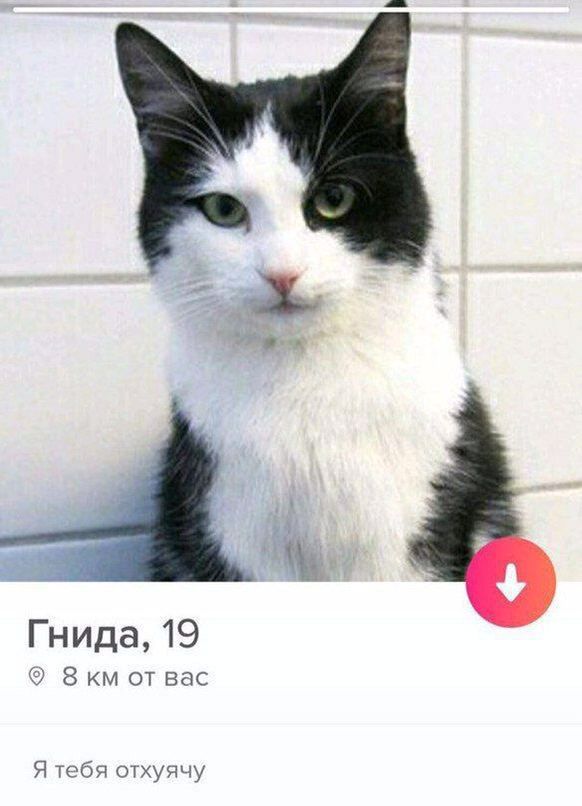 Гнида, 19 от вас Я тебя отхуячу