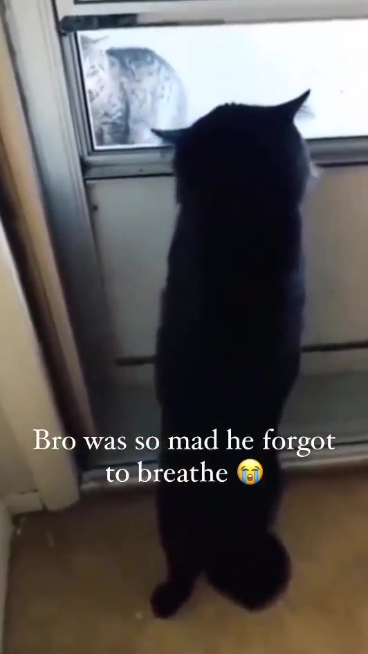 Bro was so mad he forgot to breathe