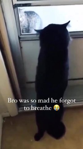 Bro was so mad he forgot to breathe