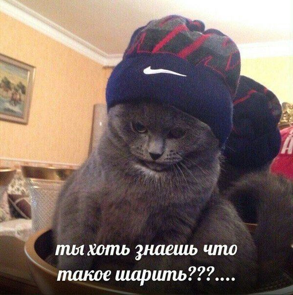 ты хоть знаешь что такое шарить???....