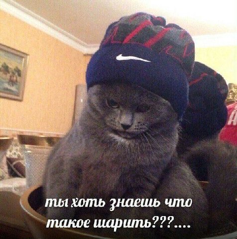 ты хоть знаешь что такое шарить???....
