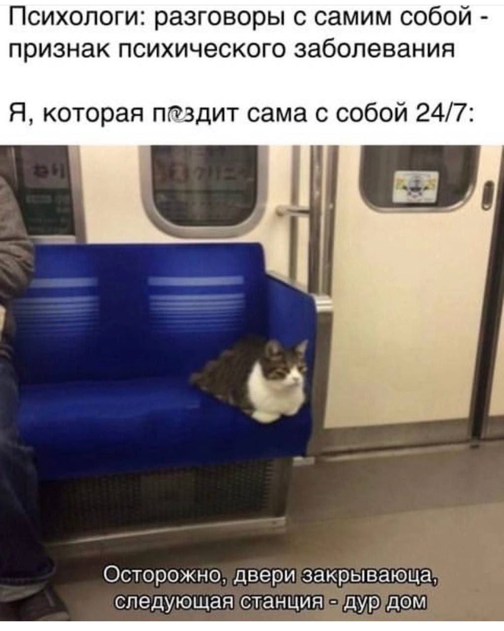 Психологи: разговоры с самим собой признак психического заболевания Я, которая п@здит сама с собой 24/7 Осторожно, двери