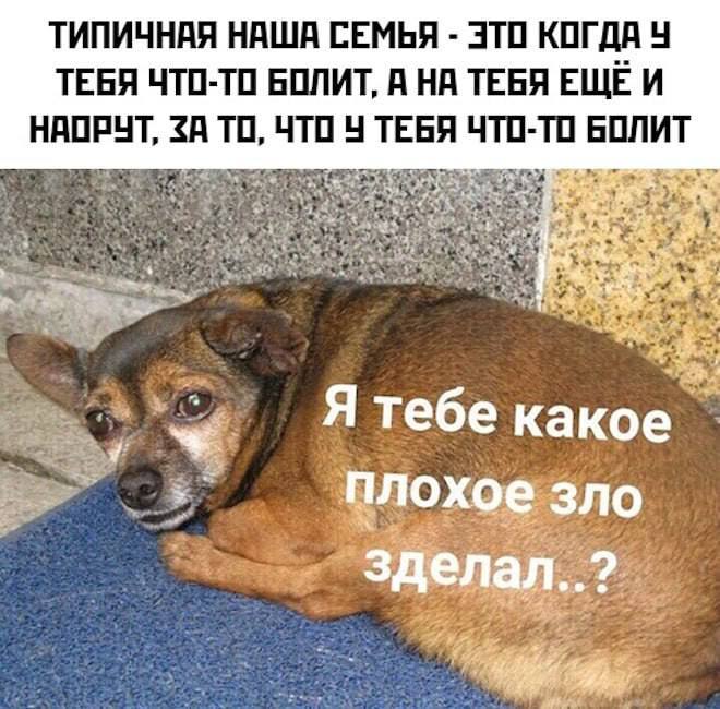 ТИПИЧНАЯ НАША СЕМЬЯ КОГДА ТЕБЯ ЧТО-ТО БОЛИТ, А НА ТЕБЯ ЕЩЕ И НАОРЧТ, <A ТО, ЧТО ТЕБЯ ЧТО-ТО БОЛИТ Я тебе какое плохое зло зделал..?