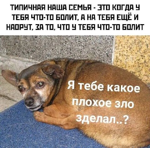 ТИПИЧНАЯ НАША СЕМЬЯ КОГДА ТЕБЯ ЧТО-ТО БОЛИТ, А НА ТЕБЯ ЕЩЕ И НАОРЧТ, <A ТО, ЧТО ТЕБЯ ЧТО-ТО БОЛИТ Я тебе какое плохое зло зделал..?