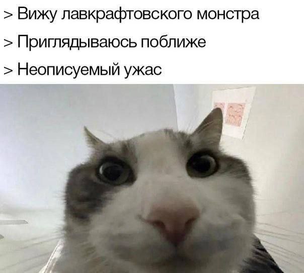Вижу лавкрафтовского монстра Приглядываюсь поближе Неописуемый ужас