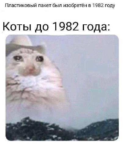 Пластиковый пакет был изобретён в 1982 году Коты до 1982 года:
