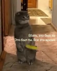 Ебать, это