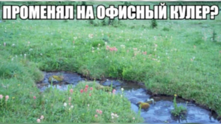 ОФИСНЫЙ ПРОМЕНЯЛ НАОФИСНЫЙ КУЛЕР: у у 3