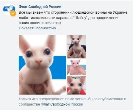 Флаг Свободной России Всемы знаем что сторонники людоедской войны на Украине любят использовать каракала "Шлёпу" для продвижения своих шовинистических Показать полностью... только что предложенная вам