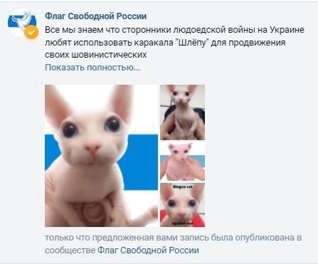 Флаг Свободной России Всемы знаем что сторонники людоедской войны на Украине любят использовать каракала "Шлёпу" для продвижения своих шовинистических Показать полностью... только что предложенная вам