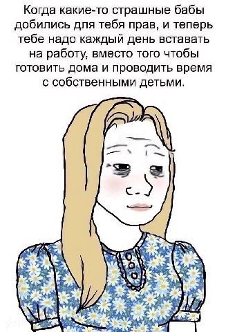 Когда какие-то страшные бабы добились для тебя прав, и теперь тебе надо каждый день вставать на работу, вместо того чтобы готовить дома и проводить время с собственными детьми. 7