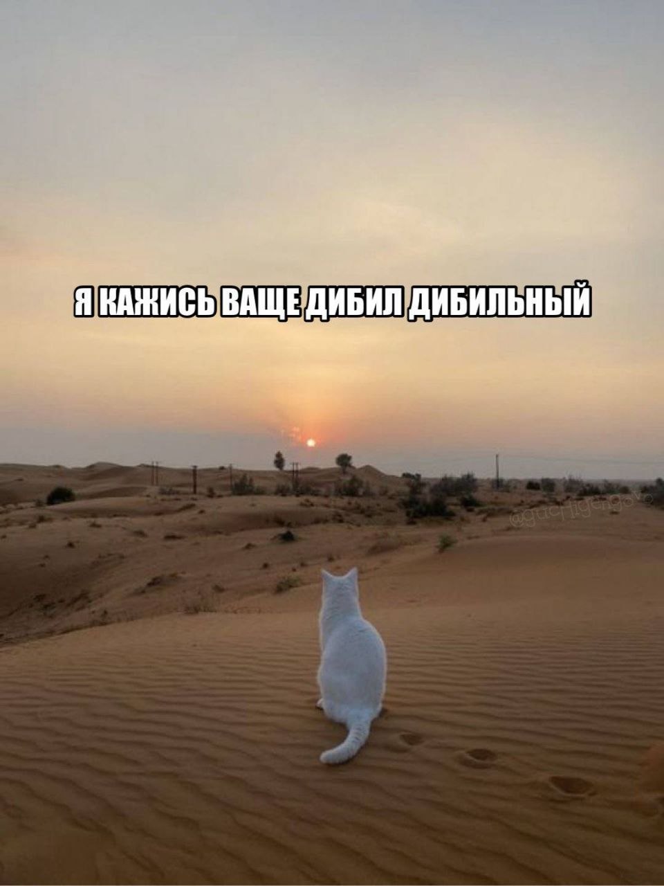 Я ВАЩЕДИБИЛ ДИБИЛЬНЫЙ