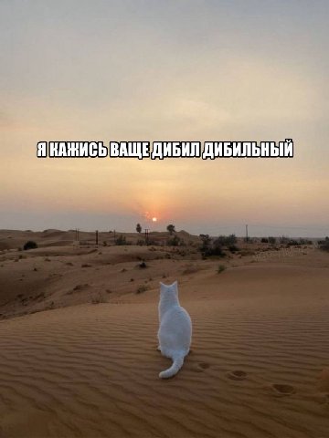 Я ВАЩЕДИБИЛ ДИБИЛЬНЫЙ