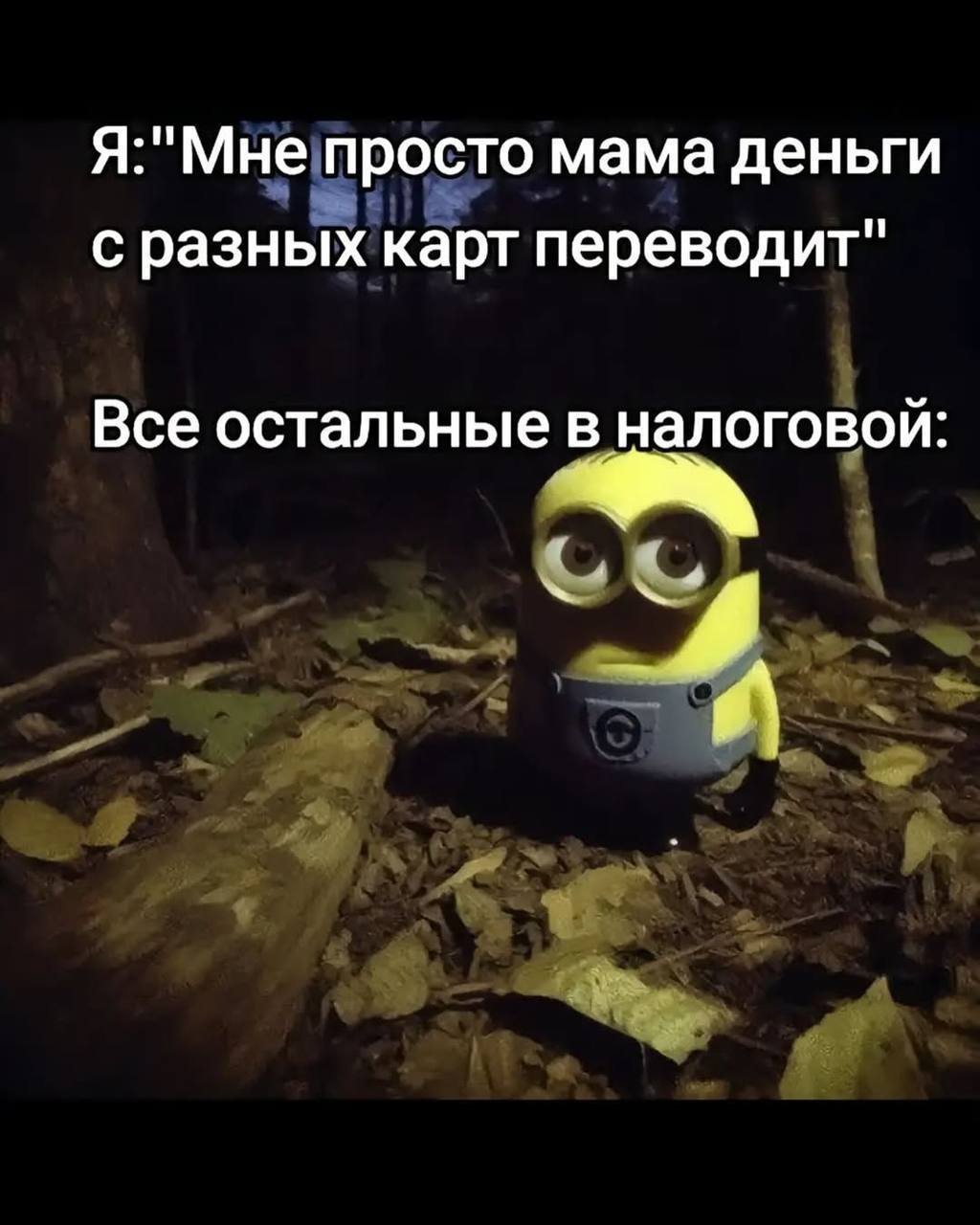 Я:"Мне просто мама деньги с разных карт переводит" Все остальные в налоговой 4