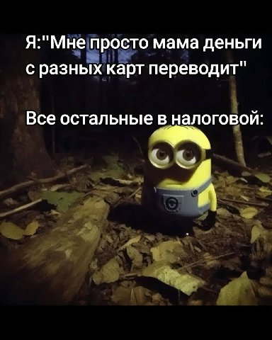 Я:"Мне просто мама деньги с разных карт переводит" Все остальные в налоговой 4