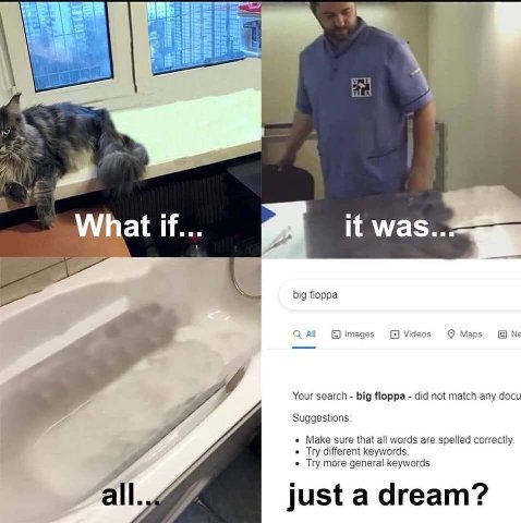 ial What if... it was.. 4 big floppa All Videos Maps и Your search big Яорра did not match any docu Suggestions Make sure that all words are spelled correctly. Try different keywords. Try more general