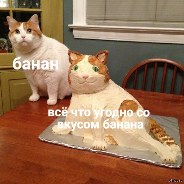 бан все