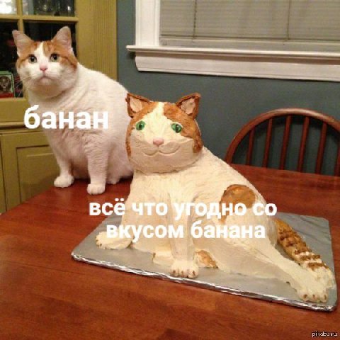 бан все