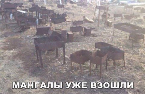 i МАНГАЛЫ УЖЕ взошли