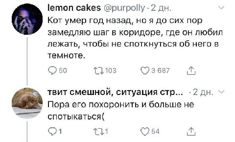 lemon cakes @purpolly 2 Кот умер год назад, но я до сих пор замедляю шаг в коридоре, где он любил лежать, чтобы не споткнуться об него в темноте. 3 687 твит смешной, ситуация стр... 2 Пора его похорон