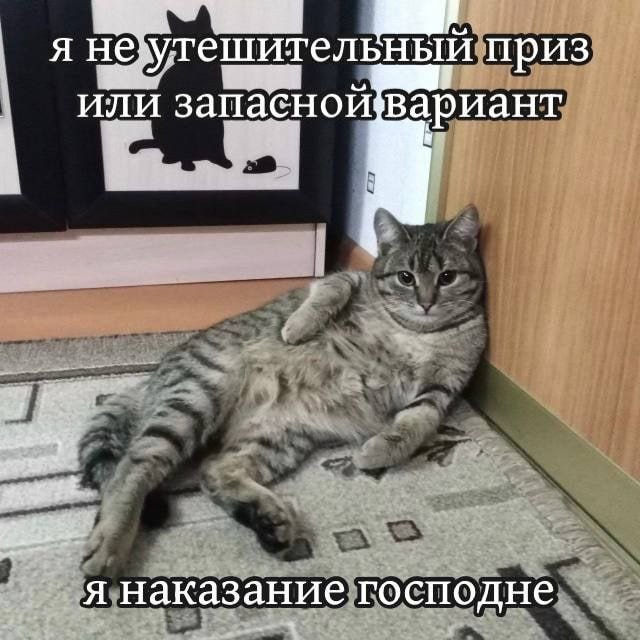 приз запасной вариант att 3 Я наказание господне